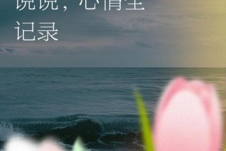 悲催生活记录 - 悲催的生活是什么意思