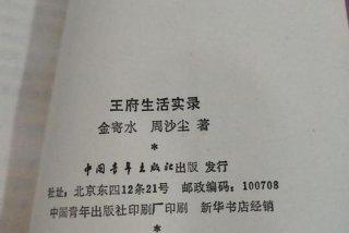 王府生活日常，王府日常生活小说