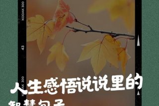 生活与智慧的感悟（生活与智慧的感悟句子）