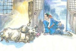 牛郎生活趣事，牛郎真实生活