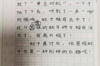 生活小妙招作文素材 - 生活小妙招作文怎么写