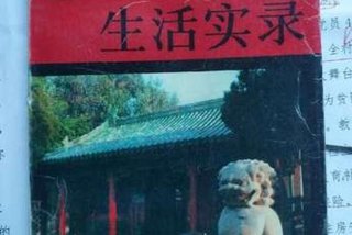 王府生活实录金寄水、王府生活实录pdf