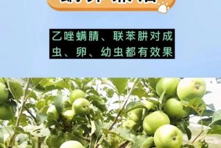 寿光生活指南服务平台；寿光生活帮热线电话