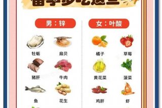 备孕生男孩子女性需要吃那些食物（生男孩备孕期间女的吃什么）