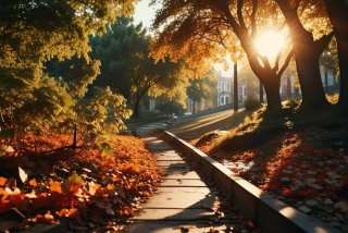 大学生活的图片素材，大学生活图片唯美