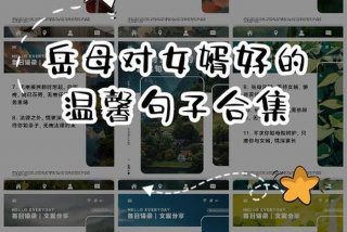 岳母一家的幸福生活；岳母一家的幸福生活小说
