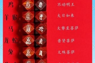 本家指什么生肖 本家到底是什么意思