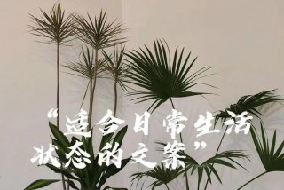 喜欢现在的生活状态文案，喜欢现在的生活状态的图片