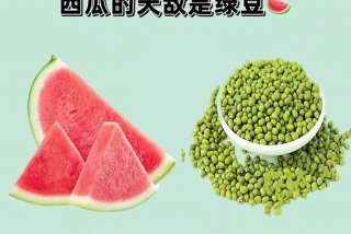 生活与命运西瓜视频在线看 - 生活与命运西瓜视频在线看全集