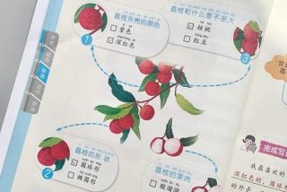 生活好帮手是什么意思 - 《生活好帮手》