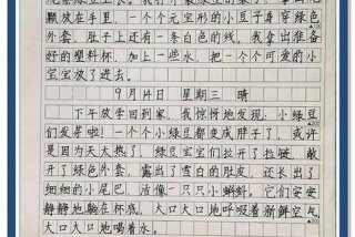 观察日记生活篇；观察生活写10篇日记