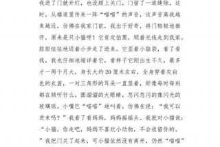 流浪猫的生活作文；流浪猫的生活作文怎么写