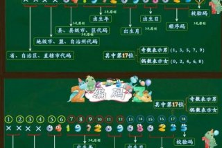 生活中的分类编码（生活中的编码及其含义）