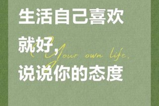 对生活的理解和态度 - 谈谈你对生活的理解