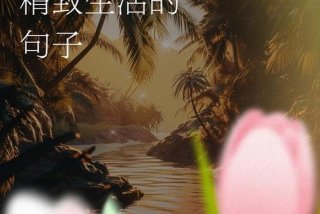 生活精致有品位的句子 生活精致有品位的句子为了了生活危险动作无模仿