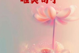 阳光生活的句子精致短句最新版 阳光生活感悟经典句子