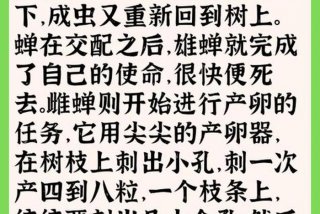 蝉的生活史；蝉的生活轨迹