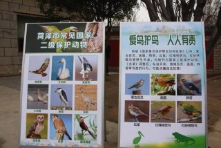 放生活动动物是哪里的，放生活动动物是哪里的特色