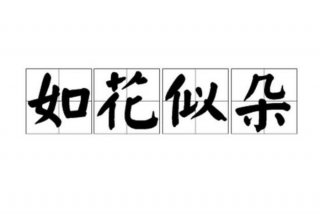 生活如画的成语（形容生活如花的词语）