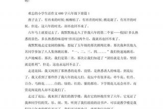 六年的小学生活作文600字，六年的小学生活作文600字优秀