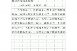 观察生活日记30字 - 观察生活的日记怎么写