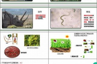 生物与生活的关系，生物与日常生活的联系