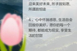 生活的美好句子简单，生活的美好语句
