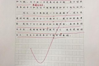 小学生活总结作文500字（小学生活的总结作文）