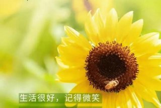 早安生活app下载，早安生活的感悟句子说说心情