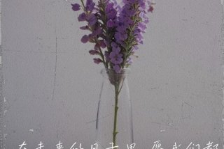 对生活的期待和憧憬 - 对生活的期待和憧憬四字短句