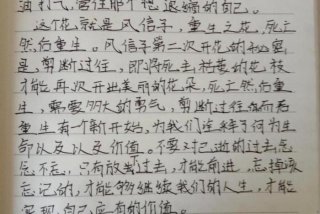 日常生活周记大全、日常生活周记大全600字