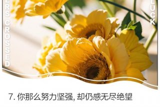 对生活失去信心绝望的句子 - 短短一句,说透人生