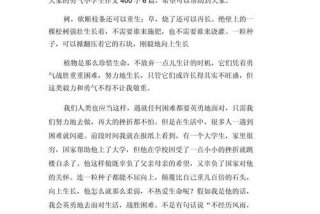 生活教会了我勇敢作文，生活教会我勇敢450字