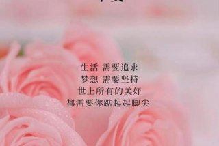 早安生活的感悟句子说说心情 - 早安 生活