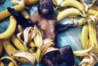 土豪的生活就是这样枯燥且乏味 土豪的生活表情包