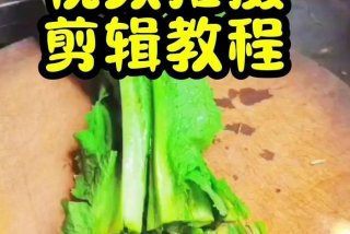 生活视频（生活视频怎么拍）
