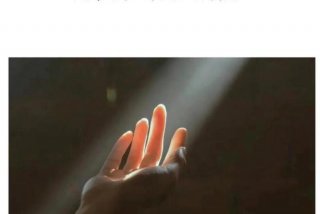 对生活的期待是什么；对生活的期待是什么意思