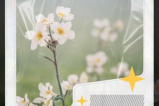 祝生活愉快工作顺利、祝您生活工作愉快的词语