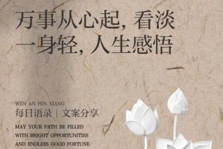 生活的感悟人生句子、看淡生活的感悟人生句子