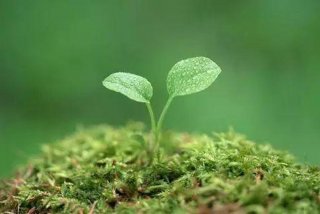 绿色生活低碳环保3分钟演讲（绿色低碳环保演讲稿一分半钟）