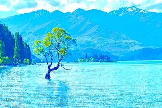 慢生活的城市适合定居 - 适合慢生活的旅游城市