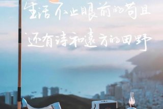 生活不止眼前的苟且最经典下一句（生活不止眼前的苟且是谁的名言）