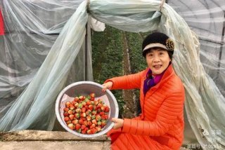 生活的浪花 叶素萍；老电影 生活的浪花