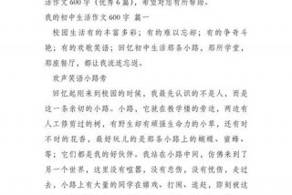 我的中学生活作文600字左右，我的中学生活作文600字左右怎么写