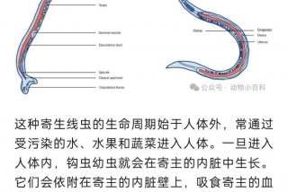 寄生生活概念；寄生生活概念解释