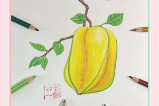 画杨桃想到生活中的一件事、通过画杨桃举一个生活例子