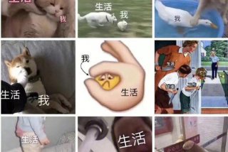 生活 我表情包图片大全 - 生活我表情包什么意思