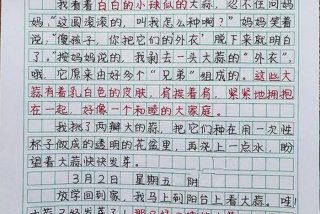 观察生活日记200个字，观察生活日记400字大全