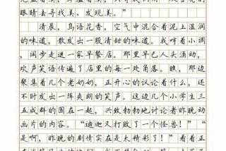 发现生活中的美作文800字记叙文 发现生活中的美作文600议论文