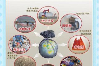 生活垃圾污染警示教育片，生活垃圾污染问题